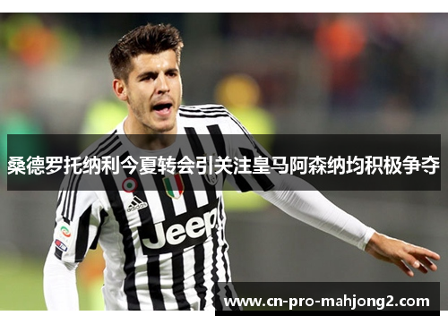 桑德罗托纳利今夏转会引关注皇马阿森纳均积极争夺